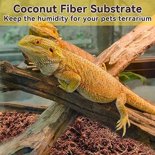 2-Pack Compressed Coconut Fiber Bedding for Reptiles Amphibians