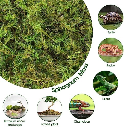 14oz Sphagnum Moss Reptile Bedding
