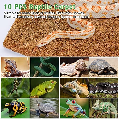 Zeedix 10 Piece Reptile Carpet Mat