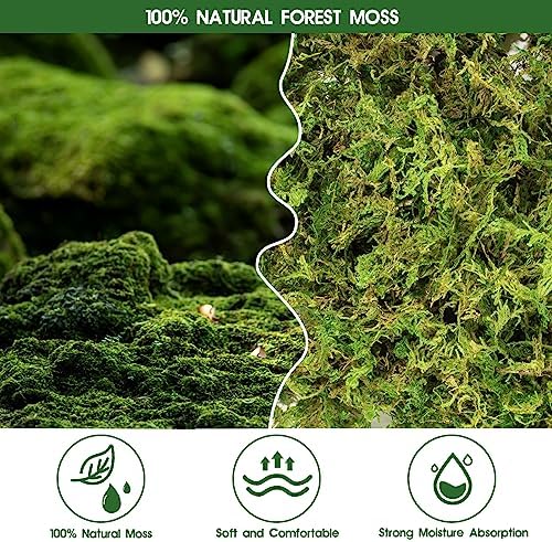 14oz Sphagnum Moss Reptile Bedding