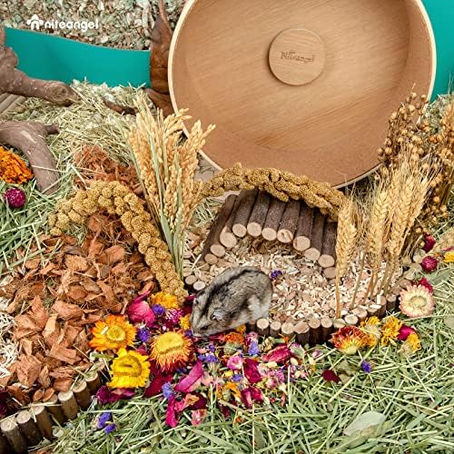 Niteangel Hamster Flower Bedding