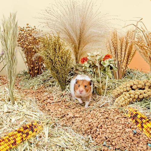 Hamster Grain Ear Florian Bedding Eco-Friendly Habitat Decor