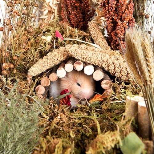 Hamster Grain Ear Florian Bedding Eco-Friendly Habitat Decor