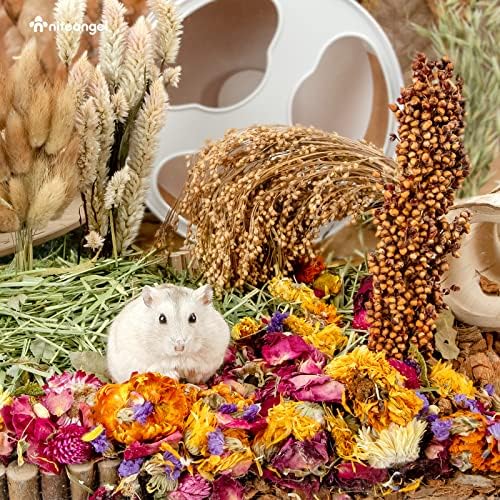 Niteangel Hamster Flower Bedding