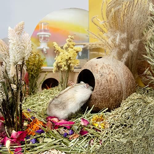 Coconut Hut Safe CozyHAMSTER HUG Cozy Bed for Gerbils Mice Small Animal