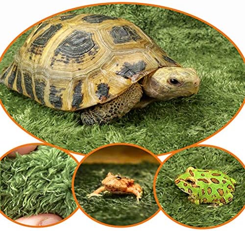 Kathson Reptile Carpet