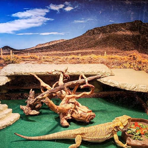 Hercouchi Reptile Carpet Durable Soft for Bearded Dragon Terrace