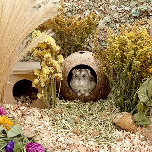 Coconut Hut Safe CozyHAMSTER HUG Cozy Bed for Gerbils Mice Small Animal