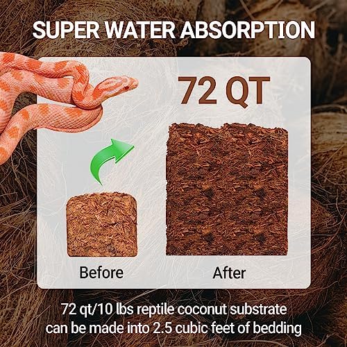 Natural Reptile Substrate Bedding