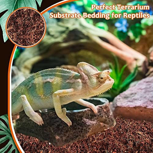 Riya 2-Pack Natural Coconut Fiber Substrate for Reptiles and Amphibians