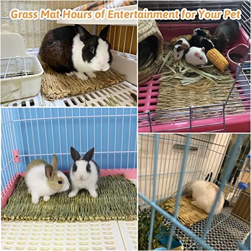 Grass Mat for Small AnimalsPacked with Gritty Goodness