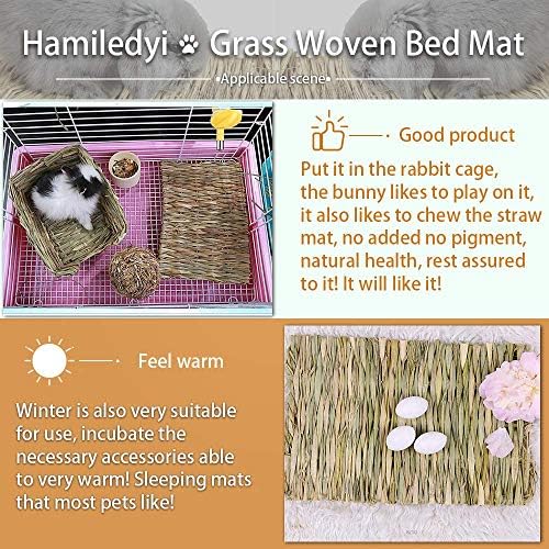 Grass Mat for Small AnimalsPacked with Gritty Goodness